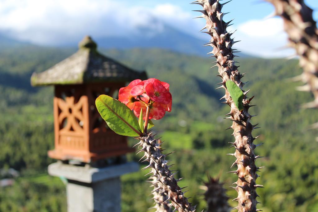 One Homestay And Warung Munduk Εξωτερικό φωτογραφία